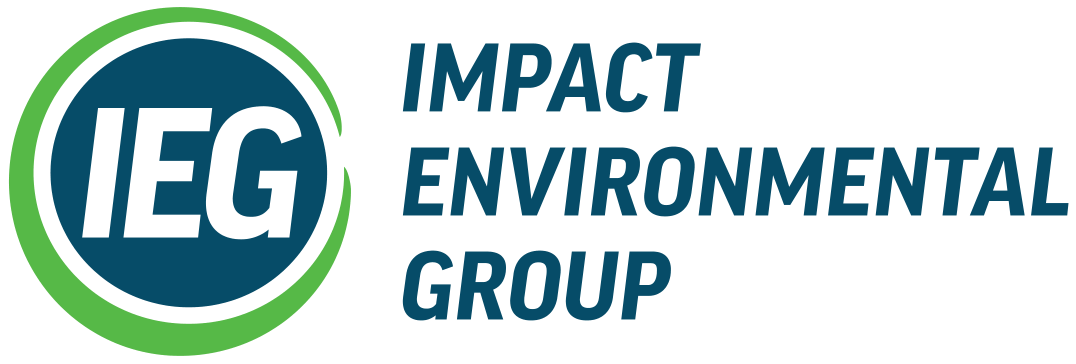 Impact Environmental Group
